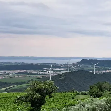 Casa Gabry 公寓 Monte (Veneto)